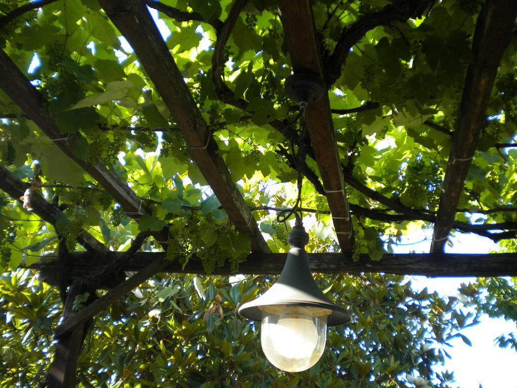 Marelmy Villa Mouresi Exterior photo